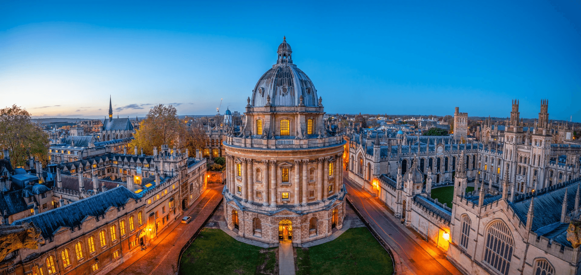 The Oxford Institute